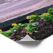 Savannah Georgia Forsyth Park Fountain Poster (Hoek)