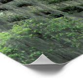 Savannah, Georgia, Live Oak tree draped with Poster (Hoek)