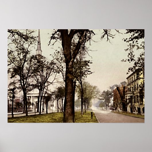 Savannah, Georgia Oglethorpe Avenue Poster (Voorkant)