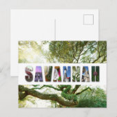 Savannah Georgia Southern Live Oak Tree Briefkaart (Voorkant / Achterkant)