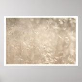 Savannah Golden Grass A3 Poster (Voorkant)