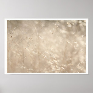 Savannah Golden Grass A3 Poster