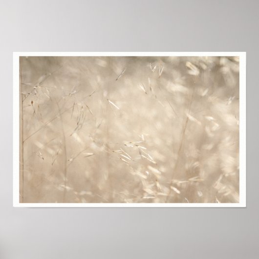 Savannah Golden Grass A3 Poster (Voorkant)