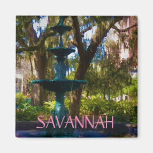 Savannah magnet 17 magneet