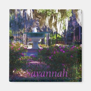 Savannah magnet 18