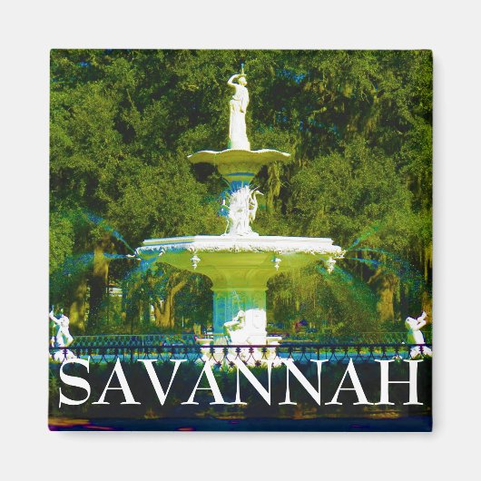 Savannah magnet 20 magneet (Voorkant)