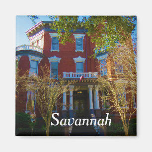Savannah magnet 6 magneet