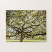Savannah Mighty Oak Souvenir Challenging Puzzle (Horizontal)