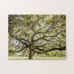 Savannah Mighty Oak Souvenir Challenging Puzzle
