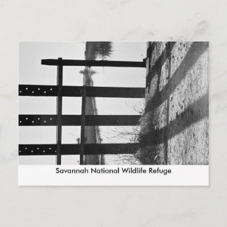 Savannah National Wildlife R... Briefkaart