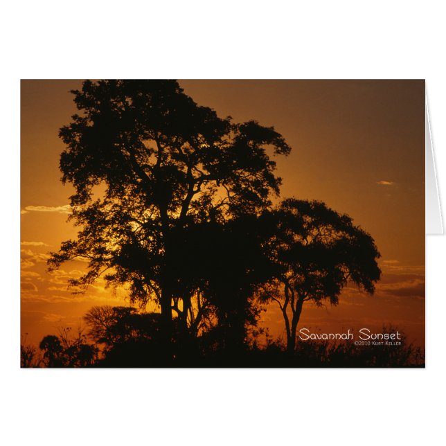 Savannah Sunset (Voorkant Horizontaal)