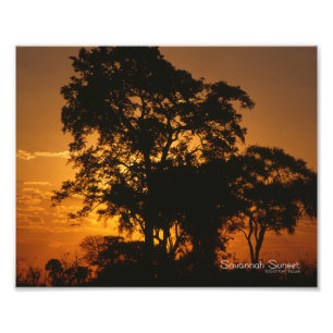 Savannah Sunset Foto Afdruk