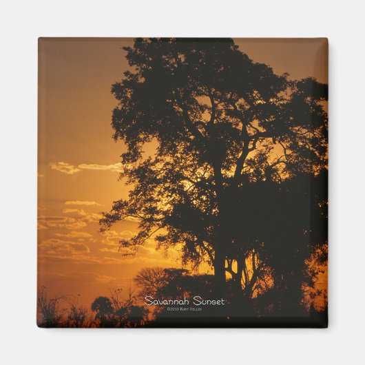 Savannah Sunset Magnet Magneet (Voorkant)