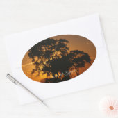 Savannah Sunset Ovale Sticker (Envelop)