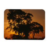Savannah Sunset Photo Magnet Magneet (Horizontaal)