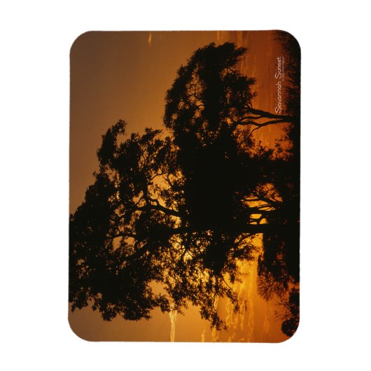 Savannah Sunset Photo Magnet Magneet (Verticaal)