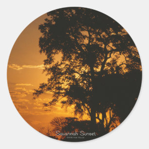 Savannah Sunset Sticker