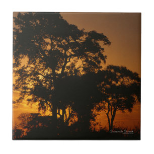 Savannah Sunset Tegeltje