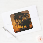 Savannah Sunset Vierkante Sticker (Envelop)