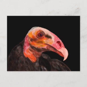 Savannah Vulture Briefkaart