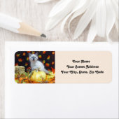 Savannah's Herfst Adresetiketten - Cute Cat Etiket (Insitu)