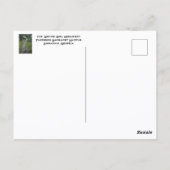 Savannah's Waving Girl Monument Fotografisch Briefkaart (Achterkant)