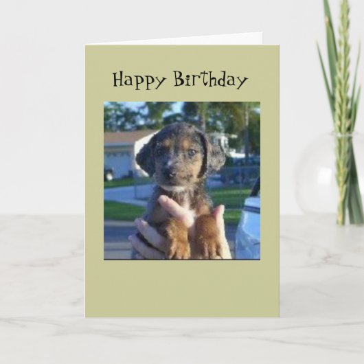 Savanne Kaart (Voorkant)