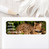 Savannekat Retouradres Sticker (Insitu)