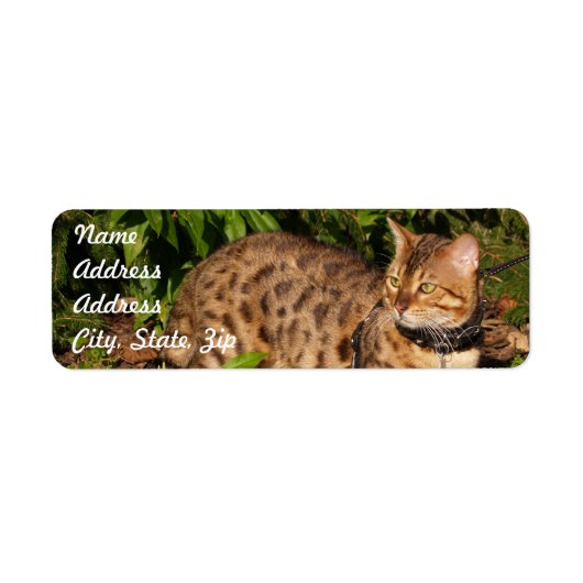 Savannekat Retouradres Sticker (Voorkant)