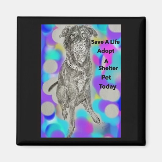 Save A Life PET bericht magneet (Voorkant)