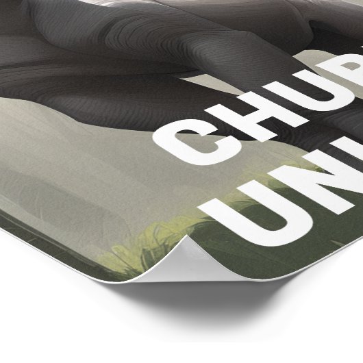 "Save The Chubby Unicorns" Grappig Poster (Hoek)