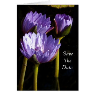 Save the date