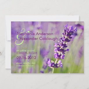 Save The Date Annonce de Lavendar pour sauvegarde de la date