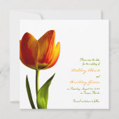Save The Date Annonce de mariage Orange Tulip pour sauver la dat (Dos)