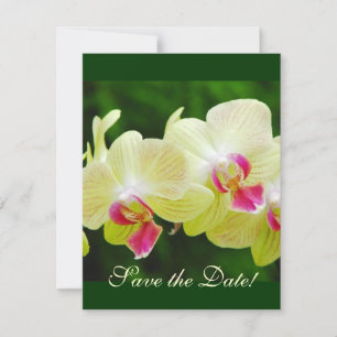Save The Date Annonce de réservation de date pour l'orchidée
