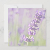 Save The Date Annonce de sauvegarde de date Lavendar (Dos)