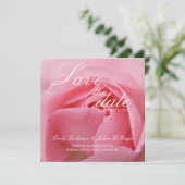 Save The Date Annonce de sauvegarde de date • Rose rose (Debout devant)