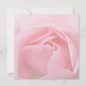 Save The Date Annonce de sauvegarde de date • Rose rose (Dos)