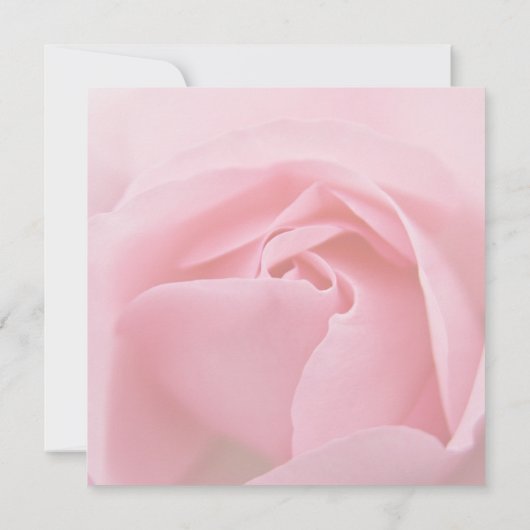 Save The Date Annonce de sauvegarde de date • Rose rose (Dos)