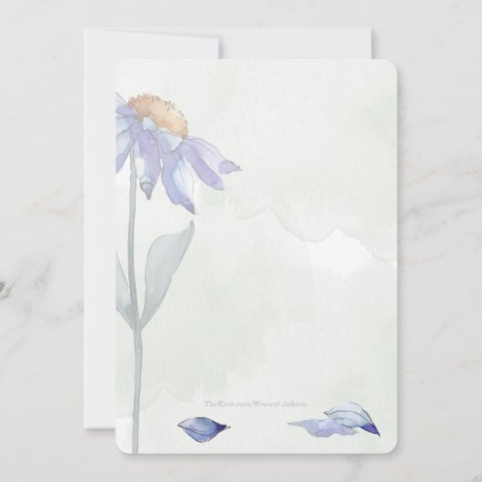 Save The Date Aquarelle bleu marguerite Mariage rustique vert  (Dos)