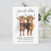 Save The Date Aquarelle du Mariage de vache Highland (Debout devant)
