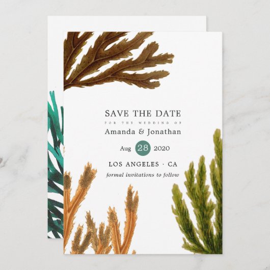 Save The Date Aquarelle Plage d'algues Mariage à thème (Devant / Derrière)