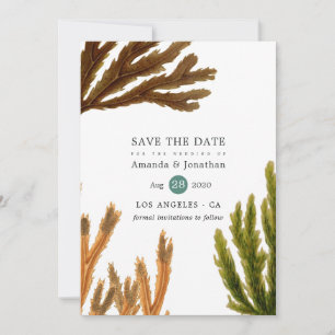 Save The Date Aquarelle Plage d'algues Mariage à thème