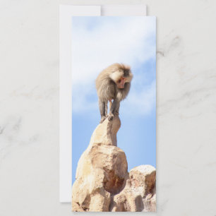 Save The Date Babouin singe au sommet d'une montagne