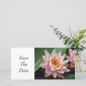 Save The Date Beauté de Nénuphar (Debout devant)