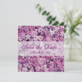 Save The Date Belle Phlox Violet Annonces (Debout devant)