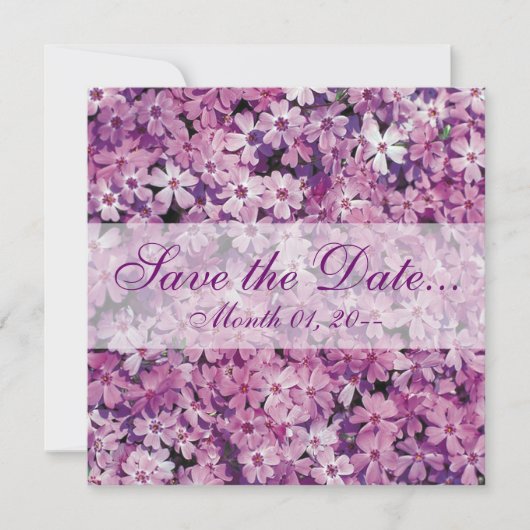 Save The Date Belle Phlox Violet Annonces (Devant)