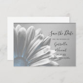 Save The Date Bleu clair Floral Faits saillants Mariage Enregist (Devant / Derrière)