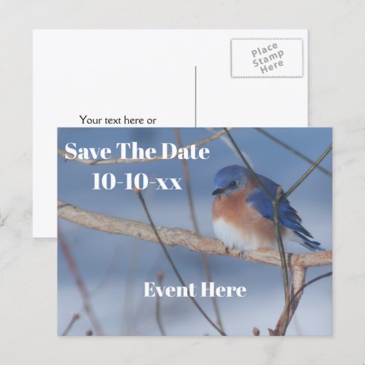 Save The Date Bluebird Nature Personalized Aankondigingskaart (Voorkant / Achterkant)