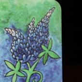 Save The Date Bluebonnets du Texas